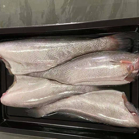 鲜冻三去鳘鱼